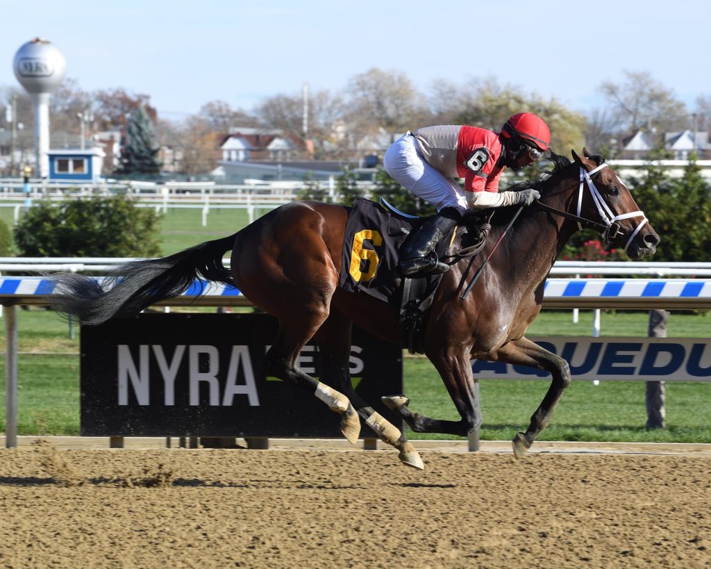 Fountain of Youth Stakes 2019 Preview