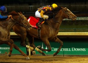 signalman fountain of youth stakes