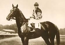 Man o' War Racehorse